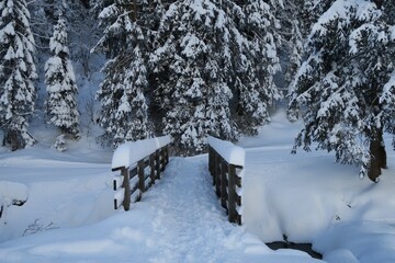 Eine mit Schnee bedeckte Holzbrücke führt über den Lanzenbach auf dem Kojen-Schichtkamm in Oberstaufen. Im Hintergrund sind verschneite Nadelbäume zu sehen in den Allgäuer Alpen.