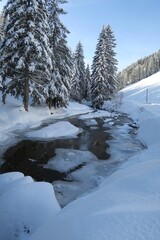 Obraz premium Oben auf dem Kojen-Schichtkamm der Allgäuer Nagelfluh-Schichtkämme fließt der Lanzenbach. Er ist an diesem sonnigen Wintertag teilweise gefroren. Im Hintergrund sind verschneite Nadelbäume zu sehen.