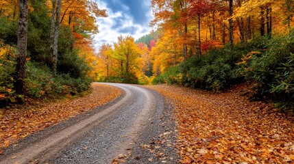 Fototapeta premium Walking along the winding forest trail, the crisp autumn air filling your lungs, leaves crunching beneath your boots as you bask in the warm sunlight filtering through the colorful canopy above.