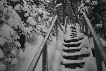 Parc Appalaches 24 Décembre Au 2 Janvier 2025 N&B