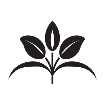recommend clip art: snowdrop flower silhouette vector illustration