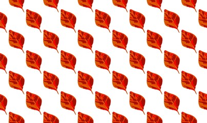 Autumn Leaves Seamless Pattern in Warm Red and Orange Tones.