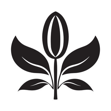 recommend clip art: snowdrop flower silhouette vector illustration