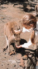 A young girl feeding a kangaroo in a wildlife park. The scene captures a tender moment of connection between a child and nature, highlighting the beauty of Australian fauna, Hobart Tasmania