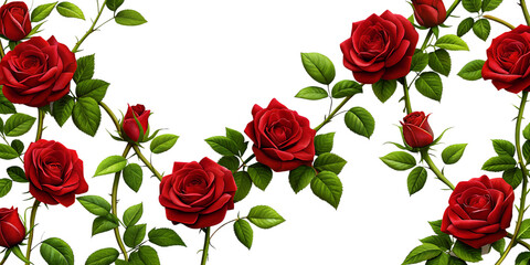 Beautiful arrangement of red roses with vibrant green leaves on a white background showcasing floral elegance and natural beauty for decoration