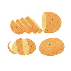Hand drawn of potato. Sliced vegetable illustration