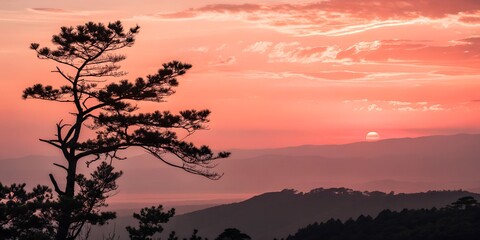Fototapeta premium Sunset over mountains with silhouette of tree in peaceful landscape