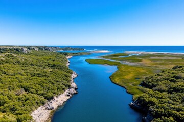 This breathtaking aerial view captures a serene river winding its way through verdant greenery and flowing gently into the ocean, evoking tranquility and connection with nature.