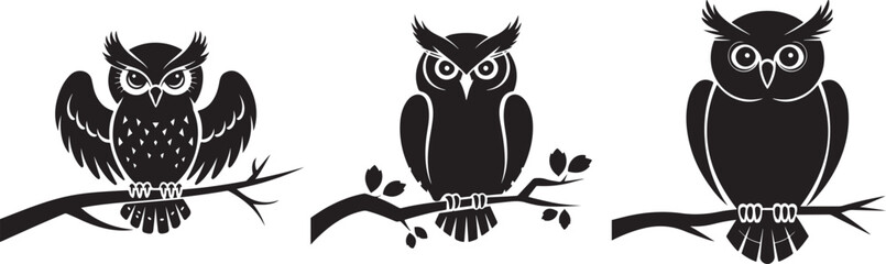 Unique Black Owl Designs on Branches Collection