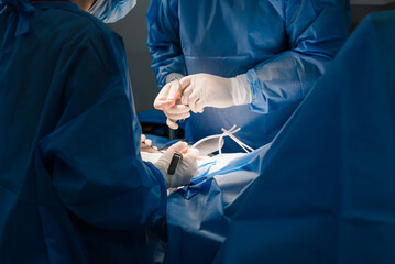 open abdominal surgery, hernia surgery, surgery, patient on the table