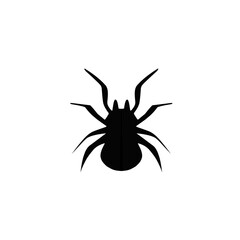 spider silhouette