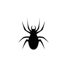 spider silhouette