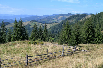Pasture in a mountain valley, fenced off by an old wooden fence.