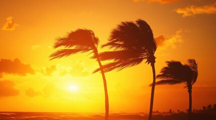 Tropical sunset with palm trees silhouetted orange sky
