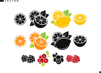 Fruit with berries vector. Isolated orange fruit lemon lime raspberry blackberry cranberry and blueberry. Natural food icon 