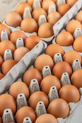 Organic brown eggs in cartons tray