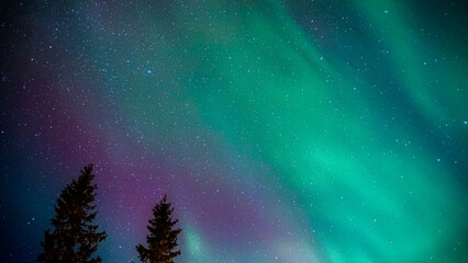 Aurora borealis northern lights norway