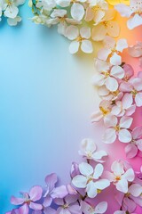Fototapeta premium Rainbow gradient background adorned with vibrant spring floral frames, ideal for special greeting card designs. Flat lay, top view. Copy space.