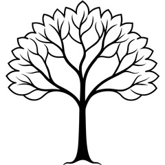 Obraz premium Elegant Line Art Trees for Vector Graphics