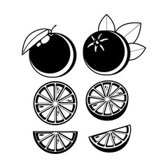 Silhouette, outline Orange whole and slice. Fresh juicy tropical fruit. Vector illustration.eps