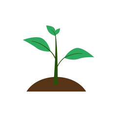 Sprout. Small green plant growing from the ground. Startup. Growth. Development.eps