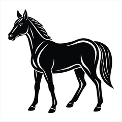 horse isolated on white background