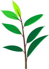 green leaf vector