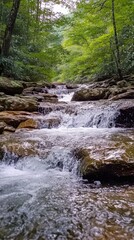 Fototapeta premium Majestic mountain stream cascading through lush greenery in a tranquil forest setting at midday