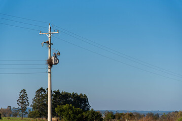 Obraz premium Rural landscape in the pampas of Rio Grande do Sul