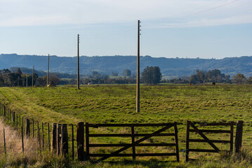 Obraz premium Rural landscape in the pampas of Rio Grande do Sul