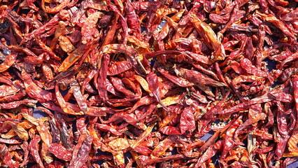 Chilli pepper, chillies spicy chili background dried red chillies background dry chilli chillie kashmiri red chillies
