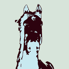 Striking two tone artistic portrait of a horse head featuring bold contrasting colors creating a contemporary minimalist aesthetic perfect for modern decor.