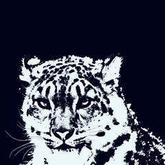 Fierce and majestic nature of a tiger's face with striking contrast,  captivating black and white illustration