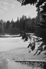 Parc Appalaches 24 Décembre Au 2 Janvier 2025 N&B