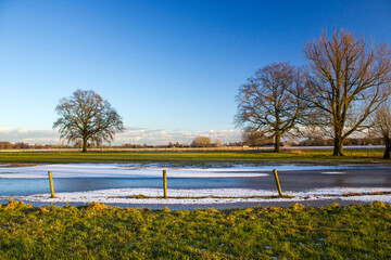 Fototapeta premium German countryside landscape with tree in winter, Lower Rhine Region, Germany