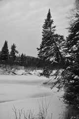 Parc Appalaches 24 Décembre Au 2 Janvier 2025 N&B