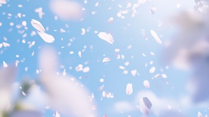 Falling Petals: A Serene Springtime Scene