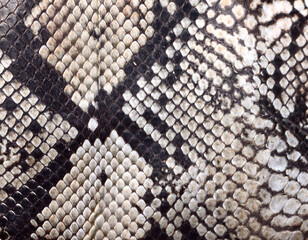 ヘビ柄の壁紙テクスチャ