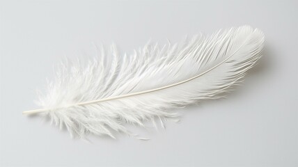 Obraz premium Photorealistic image of a monochrome feather gently placed on a smooth surface, highlighting minimalist beauty and softness 