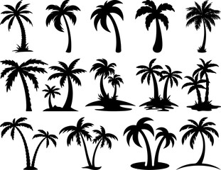 Fototapeta premium Palm Tree vector designs for printing or cutting