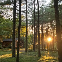 sunset in a forest with a cabin