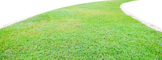 Green grass running track with isolated edges