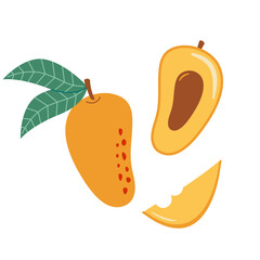 Mango with leaves vector illustration icon. Hand drawn mango logo,  tropical exotic fruit isolated on white background. Whole fruit, halved mango with a stone and a juicy piece	