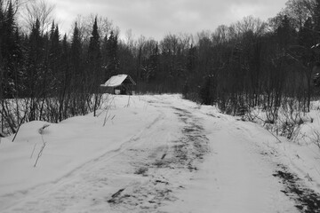 Parc Appalaches 24 Décembre Au 2 Janvier 2025 N&B