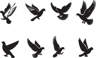 set of birds