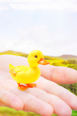 Hand holding a very small duck. Background on the theme of farming and breeding poultry.