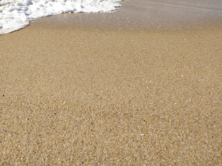 Gentle waves rolling onto sandy beach at sunrise, creating bubbles and a shimmering surface