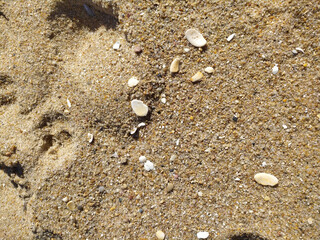 Fine golden sand covering a beach during a sunny day with clear skies, creating a serene and tranquil atmosphere for relaxation