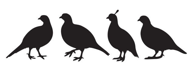 Fototapeta premium Silhouette Vector Graphics or black and white partridge , partridge vector silhouette, partridge bird icon vector illustration