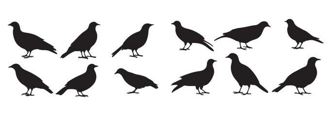 Silhouette Vector Graphics or black and white partridge , partridge vector silhouette, partridge bird icon vector illustration